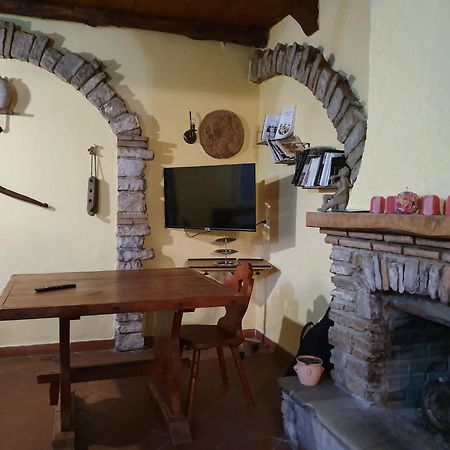 Agriturismo Radici Contadine 비사키아 외부 사진