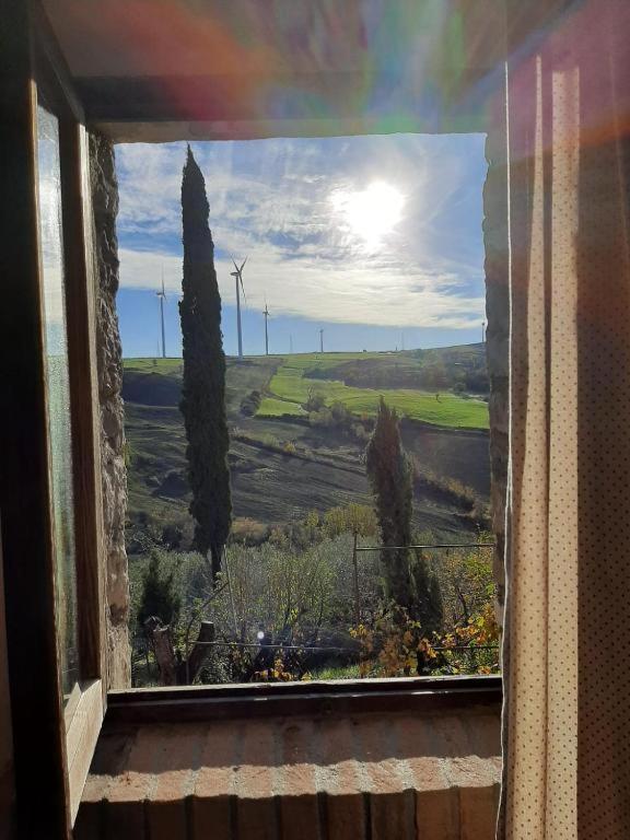 Agriturismo Radici Contadine 비사키아 외부 사진