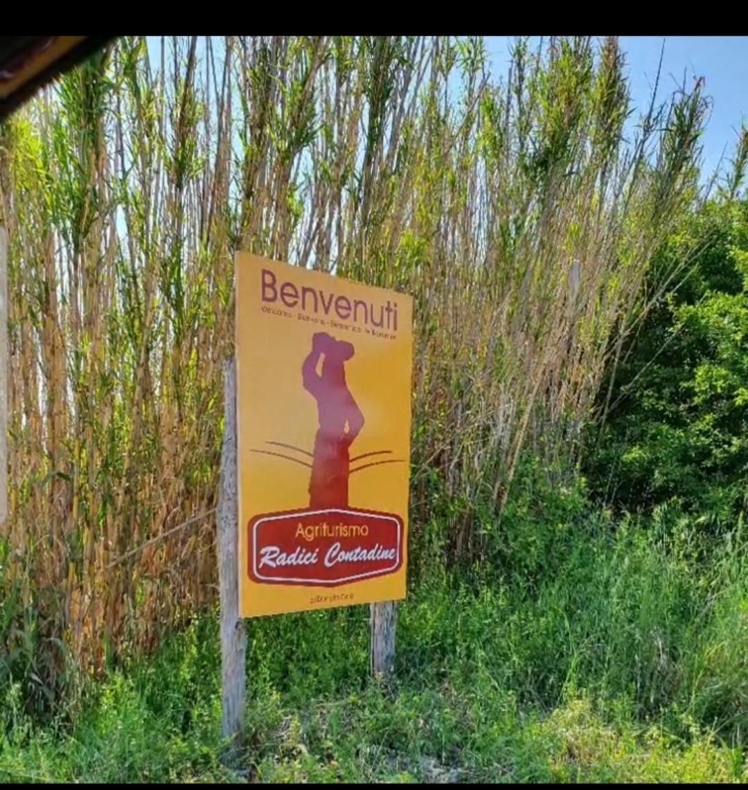 Agriturismo Radici Contadine 비사키아 외부 사진