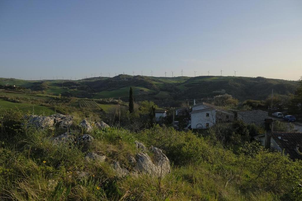 Agriturismo Radici Contadine 비사키아 외부 사진