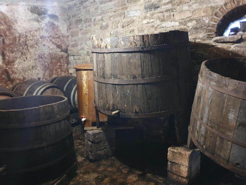 Agriturismo Radici Contadine 비사키아 외부 사진