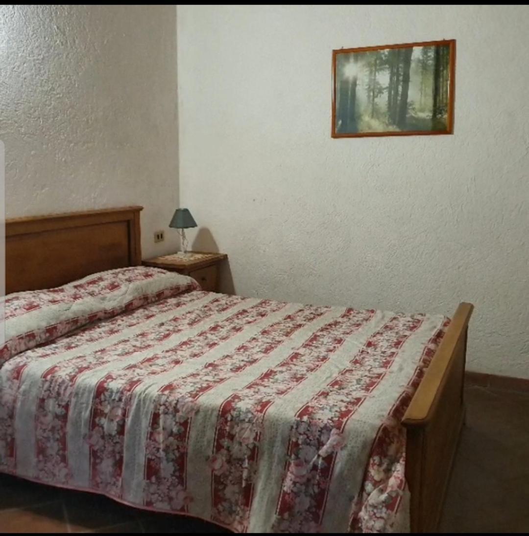 Agriturismo Radici Contadine 비사키아 외부 사진